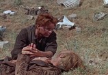 Сцена из фильма Последняя охота / The Last Hunt (1956) Последняя охота сцена 10