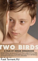 Две птицы / Smáfuglar (2008)