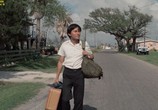 Сцена из фильма Залив Аламо / Alamo Bay (1985) 
