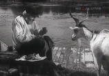 Сцена из фильма Артист из Кохановки (1962) 
