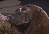 Сцена из фильма National Geographic: Таинственные мумии Китая / China's Mystery Mummies (2007) 