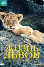 BBC: Жизнь львов / Lions: Spy in the Den (2000)