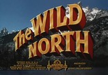 Сцена из фильма Дикий север / The Wild North (1952) 