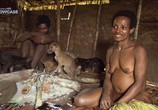 Сцена из фильма Жизнь с племенем Комбай / Living With The Kombai Tribe (2007) Жизнь с племенем Комбай сцена 2