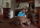 Сцена из фильма Гепард / Cheetah (1989) Гепард сцена 4
