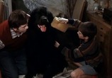 Сцена из фильма Мальчик с большой чёрной собакой / Der Junge mit dem großen schwarzen Hund (1986) Мальчик с большой чёрной собакой сцена 6