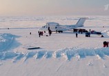 Сцена из фильма Арктика. Выбор смелых (2017) Арктика. Выбор смелых сцена 4