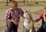 Сцена из фильма Тимбер – говорящая собака / Timber the Treasure Dog (2016) Тимбер – говорящая собака сцена 2
