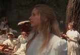 Сцена из фильма Пикник у Висячей скалы / Picnic at Hanging Rock (1975) Пикник у Висячей скалы сцена 8