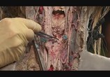 Сцена из фильма Анатомия для начинающих / Anatomy for Beginners (2005) Анатомия для начинающих. Пищеварение сцена 5
