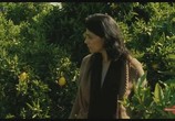 Сцена из фильма Лимонное дерево / Etz Limon (2008) 