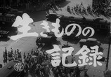 Сцена из фильма Я живу в страхе / Ikimono no kiroku (1955) Я живу в страхе сцена 1