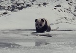 Сцена из фильма След панды / Xiong mao hui jia lu (2009) След панды сцена 1