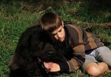 Сцена из фильма Мальчик с большой чёрной собакой / Der Junge mit dem großen schwarzen Hund (1986) Мальчик с большой чёрной собакой сцена 11