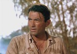 Сцена из фильма Лиловая равнина / The Purple Plain (1954) Лиловая равнина сцена 7