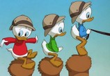 Мультфильм Утиные истории: Заветная лампа / DuckTales: The Movie - Treasure of the Lost Lamp (1990) - cцена 2