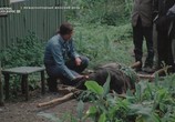 Сцена из фильма Дайан Фосси: Секреты в тумане / Dian Fossey. Secrets in the Mist (2017) Дайан Фосси: Секреты в тумане сцена 2