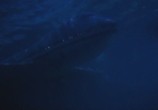 Сцена из фильма Подводный капкан / Submerged (2000) Подводный капкан сцена 3