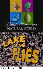 BBC: Наедине с природой: Комариное озеро