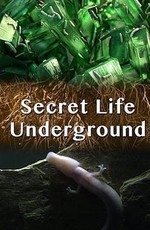 Тайны подземного мира