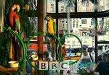 ТВ BBC: Наедине с природой: Настоящий АРА / BBC: The real MACAW (2004) - cцена 6