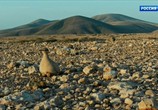 Сцена из фильма Канарские острова / The Canary Islands (2016) Канарские острова сцена 16