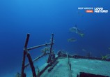 Сцена из фильма Корабельные рифы / Reef Wrecks (2016) Корабельные рифы сцена 6