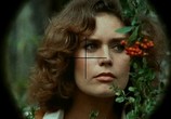 Фильм Попутчик: Начало или кровавый автостоп / Autostop rosso sangue (1977) - cцена 1