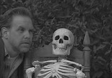 Сцена из фильма Потерянный Скелет Кадавры / The Lost Skeleton of Cadavra (2001) Потерянный Скелет Кадавры сцена 5