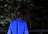 Сцена из фильма Мерзкий тип / Abominable (2006) Невыразимый ужас сцена 5