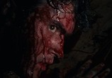 Сцена из фильма Зловещие мертвецы: Трилогия / The Evil Dead: Trilogy (1981) Зловещие мертвецы: Трилогия сцена 4