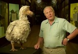 Сцена из фильма BBC: Мир природы. Ковчег сэра Аттенборо / BBC Natural World - Attenborough's Ark (2012) 