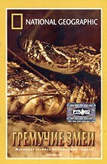 National Geographic: Гремучие змеи