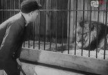 Сцена из фильма Бродяги / Włóczęgi (1939) Бродяги сцена 12