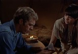 Сцена из фильма Невада Смит / Nevada Smith (1966) Невада Смит сцена 14