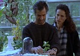 Фильм Спасти Хэррисона / Harrison's Flowers (2000) - cцена 7