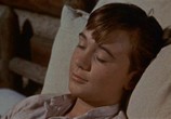 Фильм Старый Брехун / Old Yeller (1957) - cцена 7