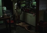 Сцена из фильма Благодарность мёртвых / Gureitofuru deddo (2013) Благодарность мёртвых сцена 2