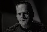 Сцена из фильма Сын Франкенштейна / Son of Frankenstein (1939) Сын Франкенштейна сцена 3