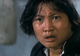 Сцена из фильма Турнир / Zhong tai quan tan sheng si zhan (1974) 