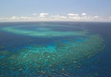 Сцена из фильма Discovery: Экватор - Риф изобилия / Discovery: Equator Reefs of Riches (2005) Discovery: Экватор - Риф изобилия сцена 2