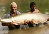 ТВ Discovery Channel: Animal Planet: Речные монстры / River monsters (2009) - cцена 6