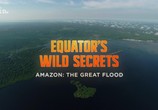 Сцена из фильма Необычная природа экватора / Equator's Wild Secrets (2019) Необычная природа экватора сцена 31
