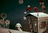 Сцена из фильма Как кошка с собакой... - Сборник мультфильмов (1972-1984) (1972) Как кошка с собакой... - Сборник мультфильмов (1972-1984) сцена 2