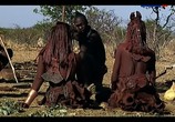 Сцена из фильма Жизнь по законам саванны. Намибия / The last hunters in Namibia (2013) Жизнь по законам саванны. Намибия сцена 4