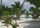 Сцена из фильма Мальдивы: Впечатления. Великолепные острова / Malediven: HD Impressionen Traumhafter Inseln (2011) Мальдивы: Впечатления. Великолепные острова сцена 10