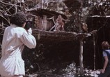 Сцена из фильма Приключения в последнем раю / Incontro nell'ultimo paradiso (1982) Приключения в последнем раю сцена 11