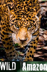National Geographic: Дикая природа Амазонки