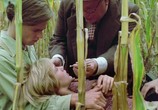 Сцена из фильма Дикий цветок / Wildflower (1991) Дикий цветок сцена 7