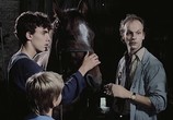 Сцена из фильма Каждый мечтает о лошади / Jeder träumt von einem Pferd (1988) Каждый мечтает о лошади сцена 18